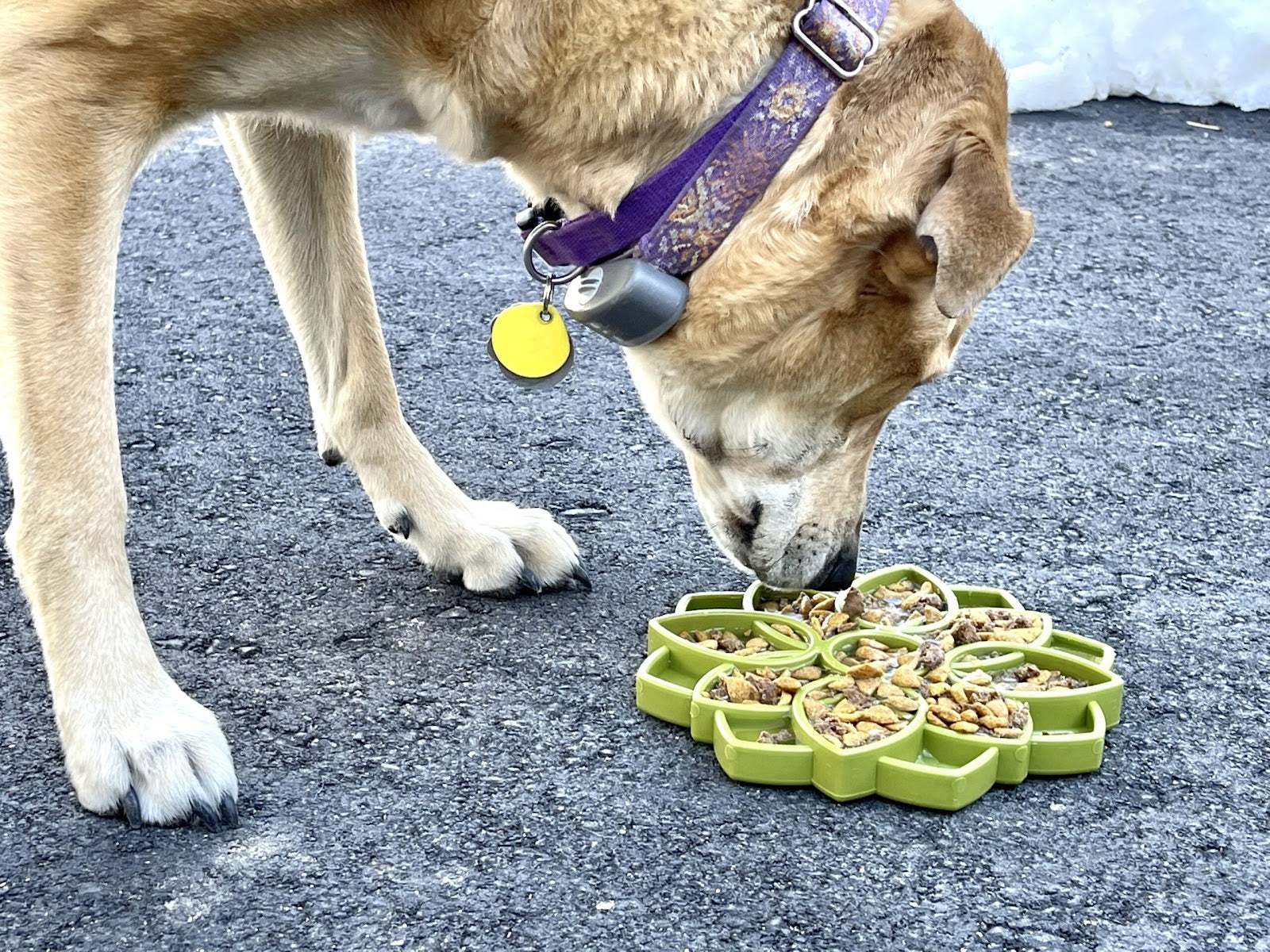 Yoggies